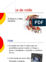 Óptica Da Visão