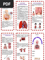 Download Triptico Sistema Respiratorio by El_Burro_Ilustrado SN112863981 doc pdf