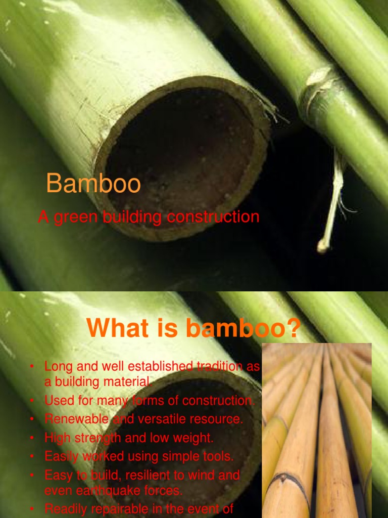 Bamboo Construction | PDF