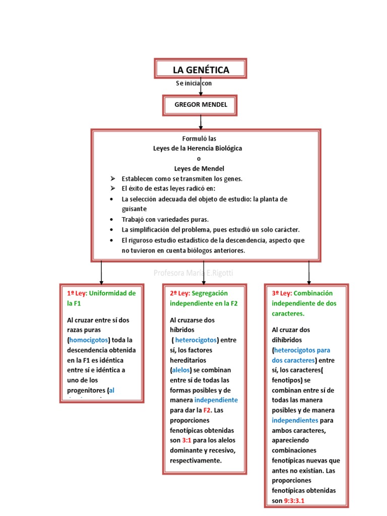Cuadro sinóptico Mendel y sus leyes