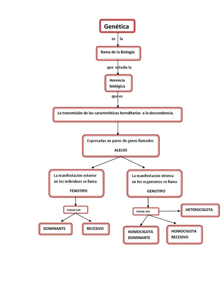 cuadro sinóptico de Genética