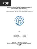 Download Makalah Rosella Merahhhhh by Uzman Avandy SN112924432 doc pdf