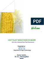 Host Plant Resistance in Maize
