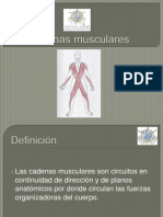 cadenasmusculares-100818183227-phpapp01