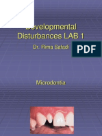 Developmental Disturbances LAB 1: Dr. Rima Safadi