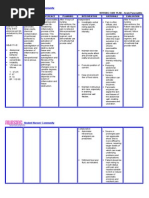 Download Careplan Acute Pancreatitis by BSN 2014 SN112994910 doc pdf