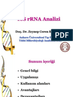 16S rRNA Analizi