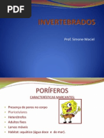 Invertebrados - Prof. Simone