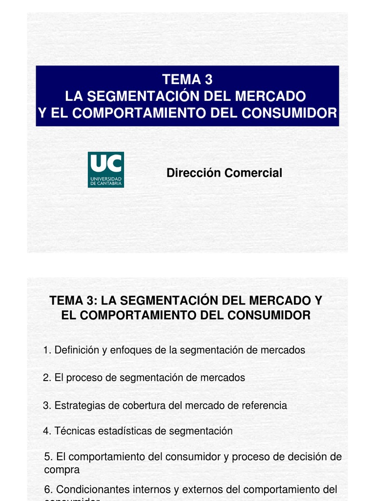 Segmentación de Mercado y Comportamiento del Consumidor | PDF