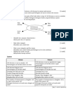 Mitosis and Meiosis Essay