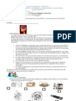 Repaso Biología 7° Microsc-Tejid-Circul-Nutric.