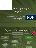Histologia y Organografia Vegetal 1-1a