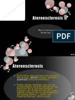 4 Ateroesclerosis 100705010242 Phpapp02