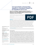 Sodium Taurocholate Cotransporting Polypeptide Is A Functional Receptor For Human Hepatitis B and D Virus