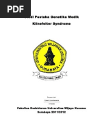 Download study pustaka sindrom klinefelter by Tommy Dharmawan SN113094323 doc pdf