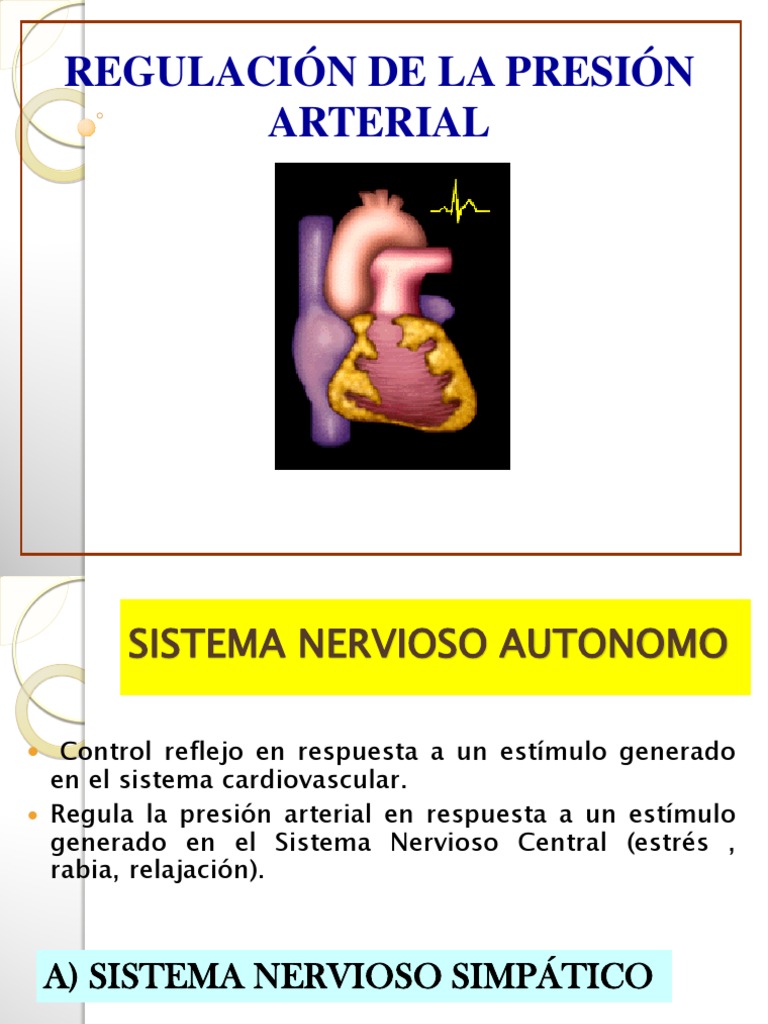 cardiovascular Regulación de la presión arterial Sistema