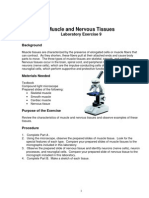 Muscle and Nervous Tissues Lab