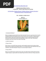 Download pepaya by Eka Perwira SN113105719 doc pdf