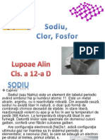 P,Na,Cl-Lupoae Alin