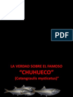 Presentacion Power Point Chuhueco 2