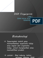 Dna Fingerprint