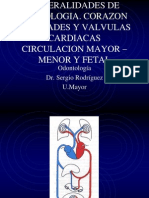 Generalidades de Angeología Circulación Mayor, Menor y