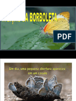 1 ABorboleta