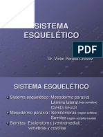 Sistema Esqueletico - embriología