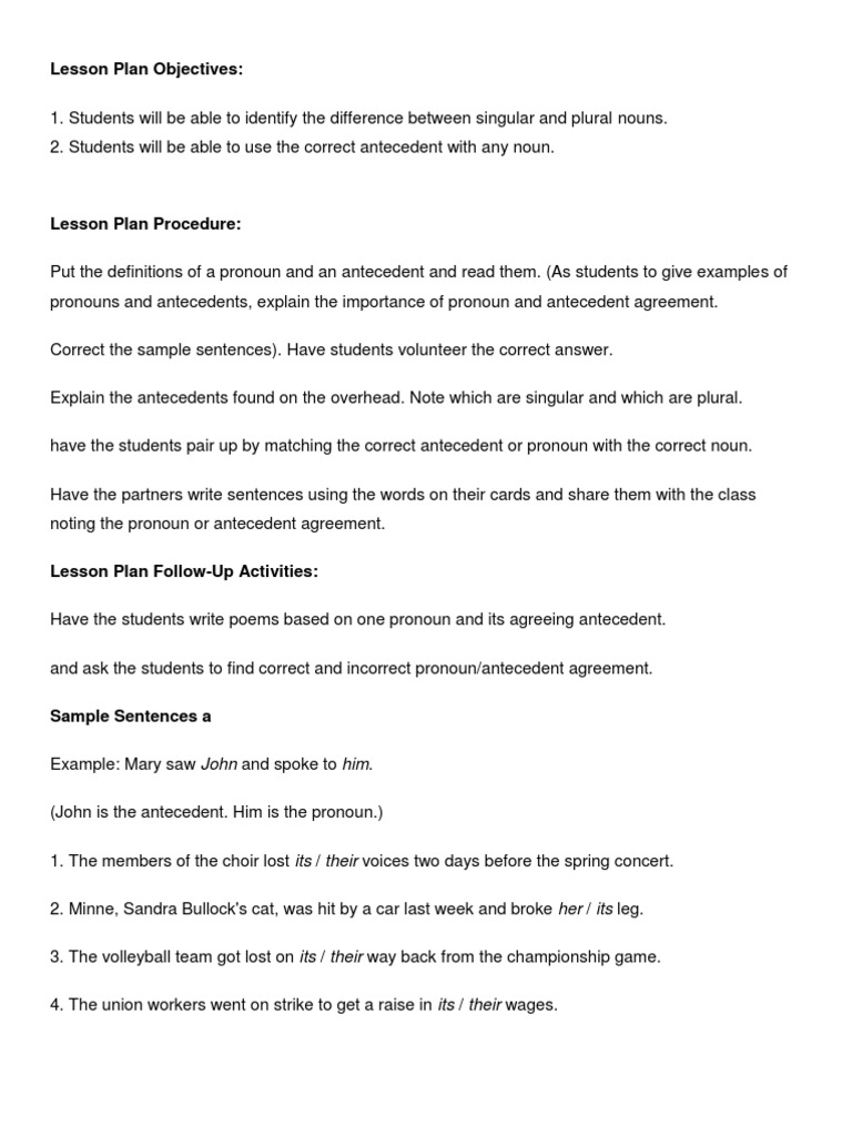 Noun and Conjunction Lesson Objectives | PDF | Grammatical Number | Plural