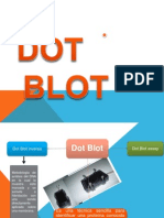Dot Blot