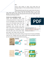 Murein Dan Pseudomurein