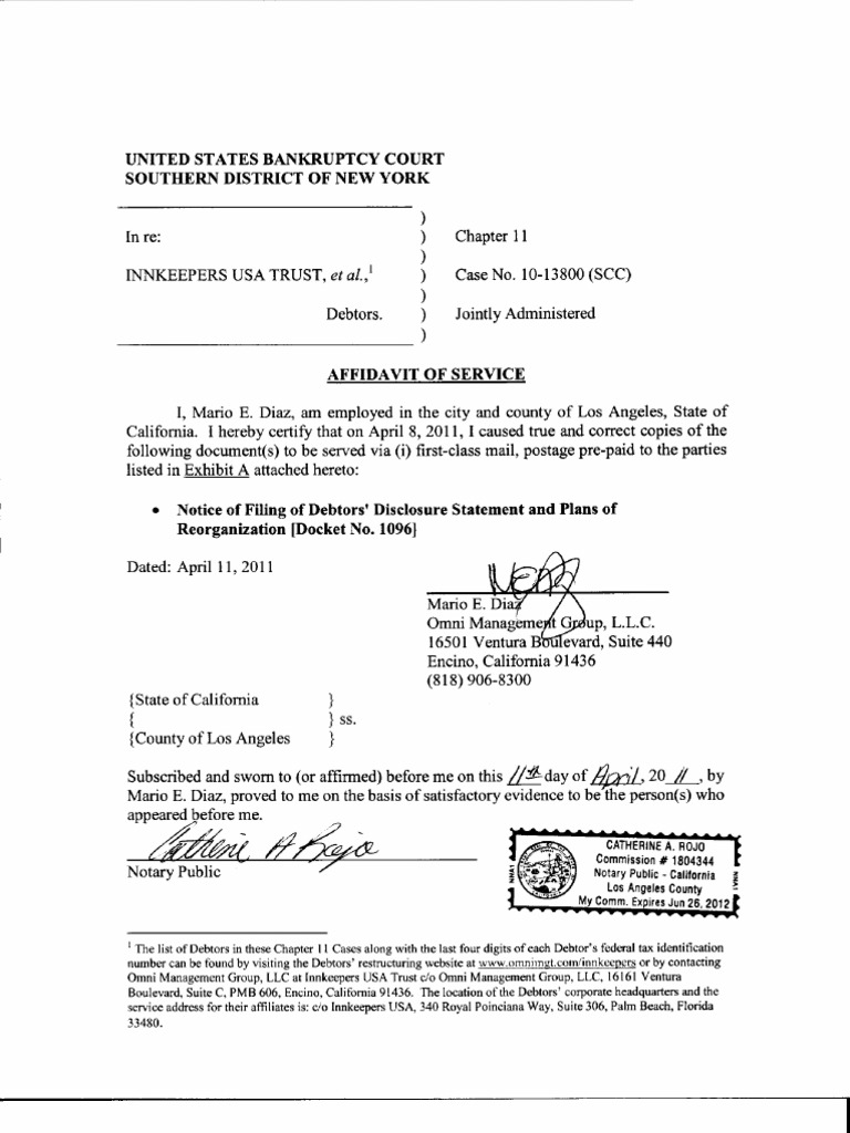 Busch Waxes 64016 Busch Clear Coat Remover, Clear Coat Remover