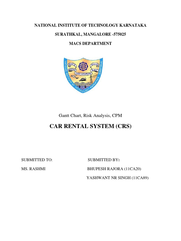 CRS Car Rental Risk Analysis Report | PDF | Technology & Engineering
