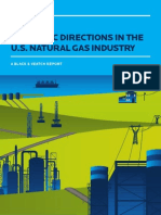 Black & Veatch Natural Gas Report 2012