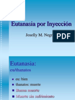 Profa. K. Dominguez Avet 110 Eutanasia - Por - Inyeccion - 2002