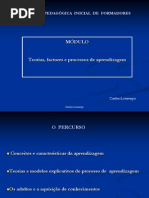 teorias aprendizagem