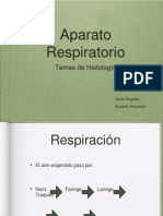 Aprespiratorio Histo 111213204426 Phpapp01