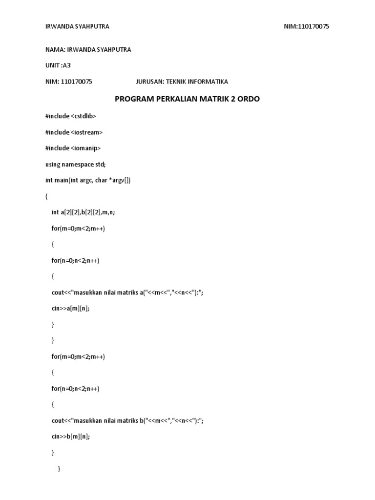 C++ Matrix Multiplication Example | PDF