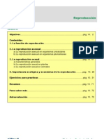 Reproducción PDF