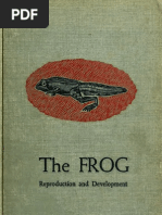 Frog Its Reproduct 00 R Ugh