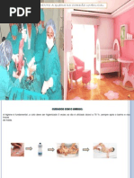 Seminário Recem Nascido07