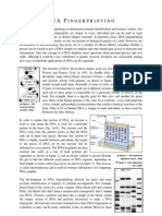 Download DNA Fingerprinting by Sarah Don SN11337826 doc pdf