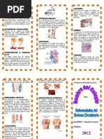 Download Triptico - Enfermedades Del Sistema Circulatorio by El_Burro_Ilustrado SN113383850 doc pdf