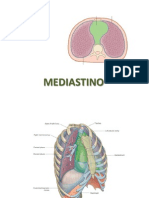 Mediastino Anterior y Superior