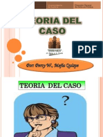 Teoria Del Caso