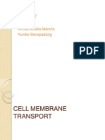 Cell Membrane Transport
