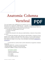 Anatomía-Columna Vertebral