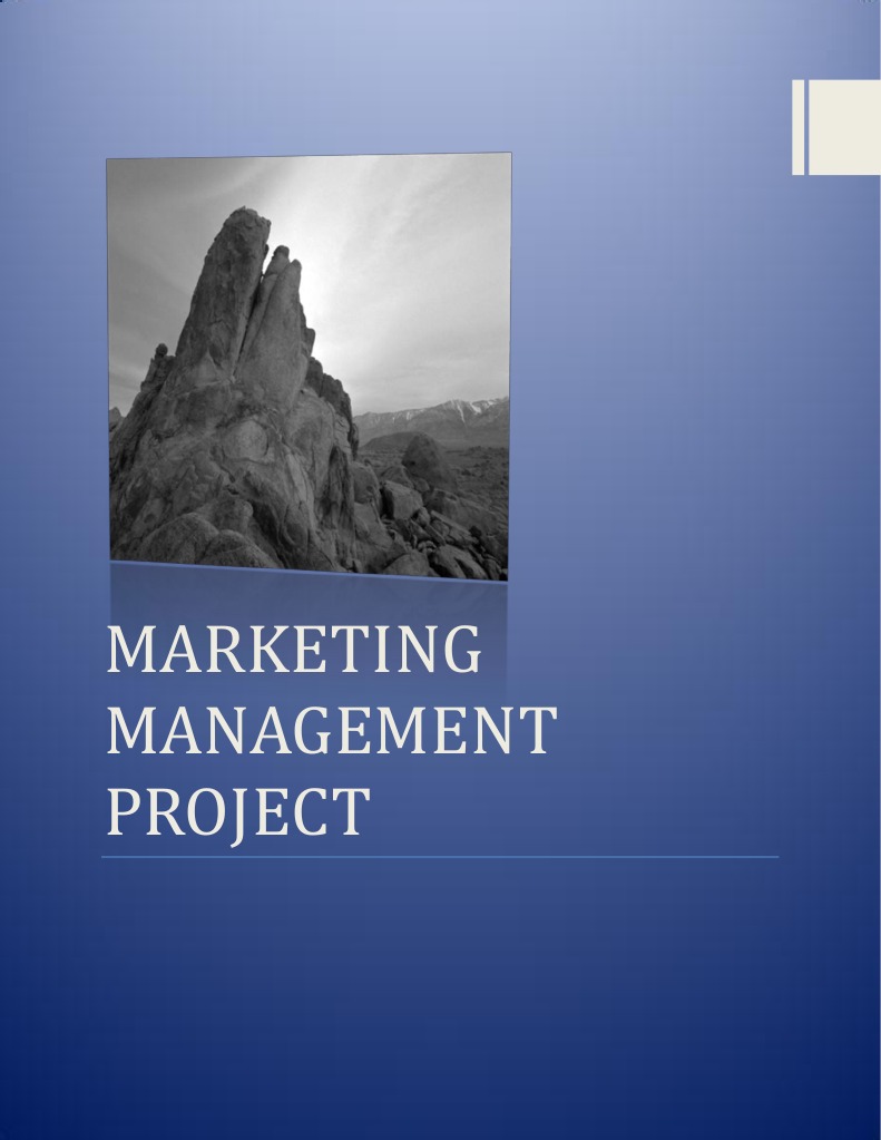 Marketing Management Project Cover Page | PDF