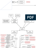 Schema Circolazione Arteriosa