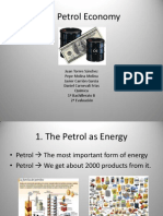 The Petrol Economy
